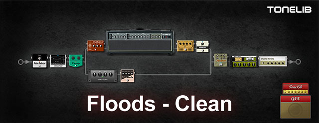 ToneLib GFX community preset - Floods Clean